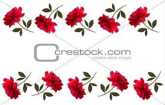 Holiday background with red beautiful roses. Vector