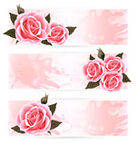 Three holiday banners with pink beautiful roses. Vector