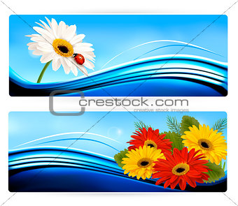 Nature banners with color flowers. Vector.