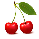 Two red cherry berries with leaf. Vector.