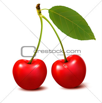 Two red cherry berries with leaf. Vector.