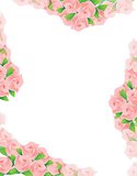 pink flowers frame illustration designs
