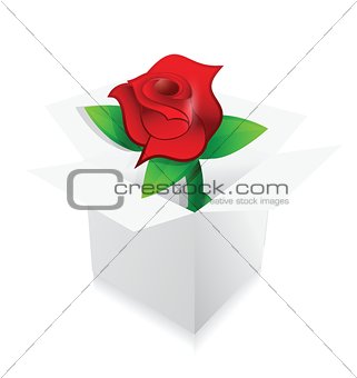 red rose present inside a box illustration design