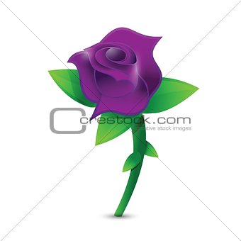 purple rose illustration design