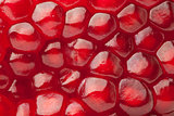 Red pomegranate texture