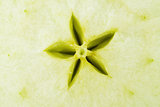 Macro food collection - Green apple