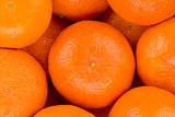 Ripe tangerine closeup background