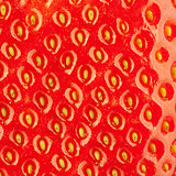 Macro food collection - Strawberry