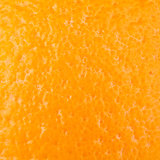 Macro food collection - Orange rind