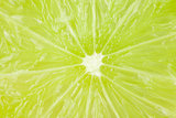 Macro food collection - Lime texture