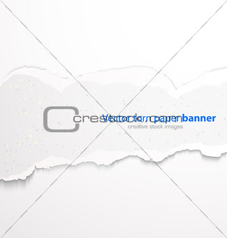Torn paper banner