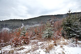 hunter wooden hut in winter forest