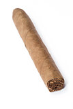 Large cigar