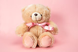 Fluffy teddy with pink ribbon