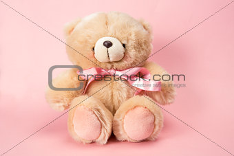Fluffy teddy with pink ribbon