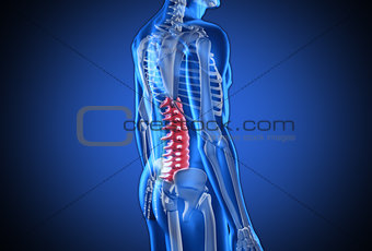 Digital blue human with highlighted spine