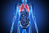 Digital blue human with highlighted lungs