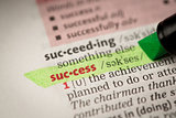 Success definition highlighted in green