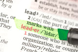 Leader definition highlighted in green