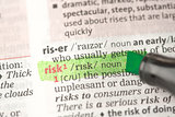 Risk definition highlighted in green