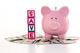 Piggy bank beside save blocks on dollars