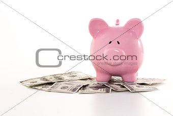 Pink piggy bank on dollars