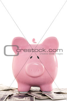 Close up of a pink piggy bank on dollars
