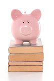 Pink piggy bank standing on stack of books