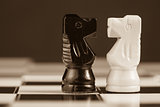 Two chess knights facing each other