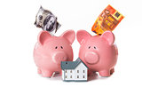 Dollar and euro notes sticking out of piggy banks with model home