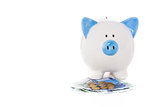 Blue and white piggy bank standing on euro notes and coins