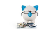 Piggy bank wearing glasses with calculator and cash