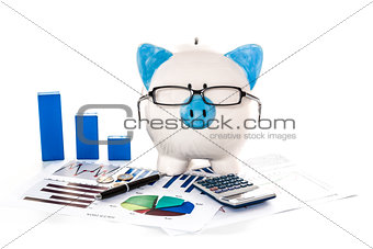 Piggy bank wearing glasses with accountancy paperwork