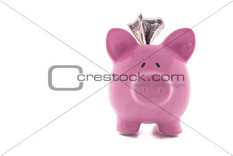 Dollar note stuck in piggy bank