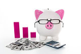 Piggy bank wearing glasses with dollars calculator and pink graph model