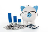 Piggy bank wearing glasses with dollars calculator and blue graph model