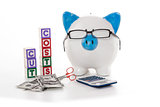 Blue and white piggy bank wearing glasses with cut costs blocks