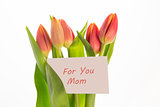 Bouquet of pink and yellow tulips with mothers day greeting card