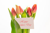 Bouquet of pink and yellow tulips with mothers day message on card