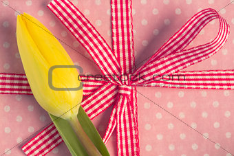Yellow tulip resting on girly present