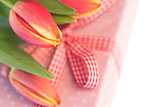 Pink and yellow tulips resting on pink wrapped present