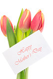 Pink and yellow tulips with happy mothers day greeting