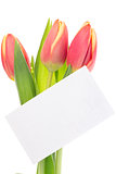 Pink and yellow tulips with blank card