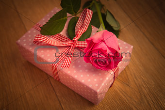 Pink wrapped present with pink rose and vignette frame