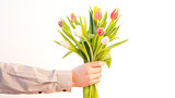 Mans hand offering bunch of tulips