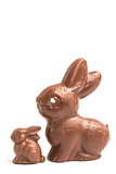 Big and small chocolate bunny rabbits