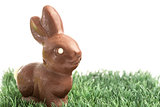 Chocolate bunny rabbit on grass