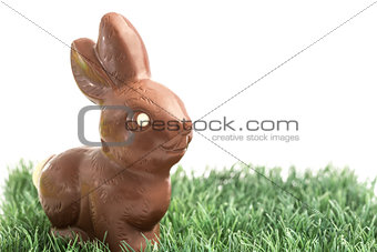 Chocolate bunny rabbit on grass