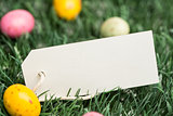 Blank tag with easter eggs