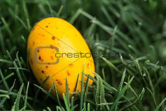 Yellow speckled easter egg
